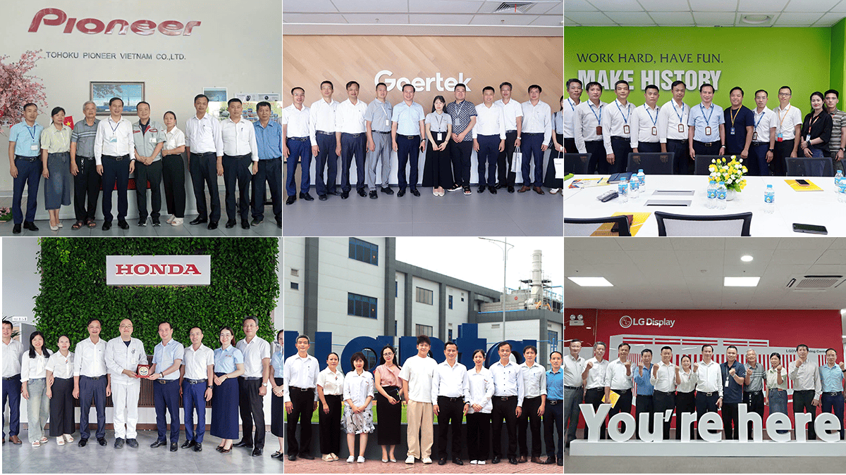 Doanh nghiệp hợp tác
